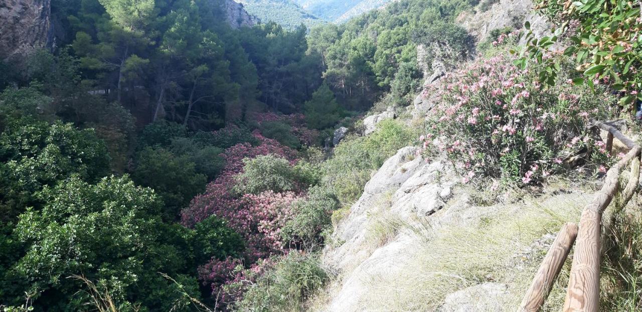Hostal Rural De Cuadros Bedmar y Garciez Buitenkant foto